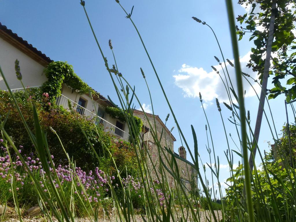 Gasthaus Casarciccia Todi Zimmer foto