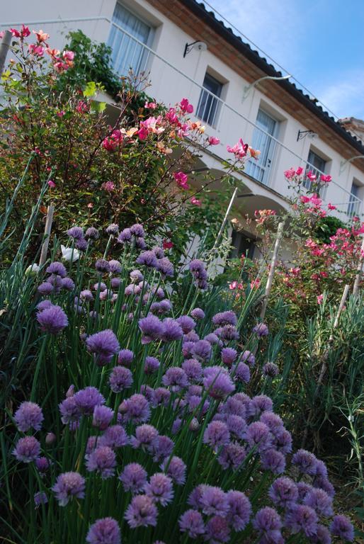 Gasthaus Casarciccia Todi Zimmer foto