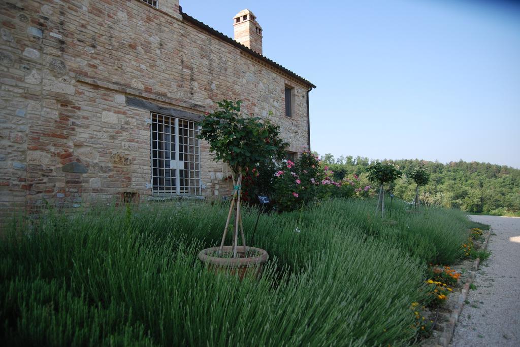 Gasthaus Casarciccia Todi Exterior foto